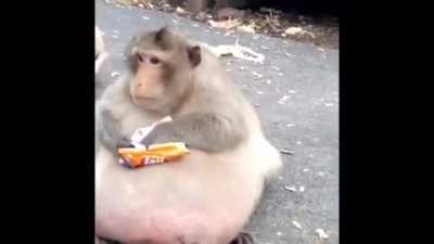 Fat Fucdge
