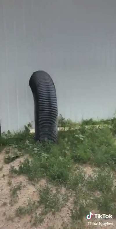 How to hide in plain view