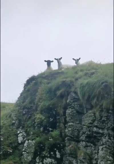 Maybe maybe maybe