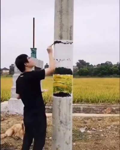 The disappearing pole art