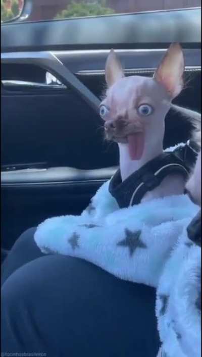 When you get picked up from the dentist and someone mentions an all you can eat taco buffet