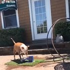 "god damn it.. why isn't this working.."