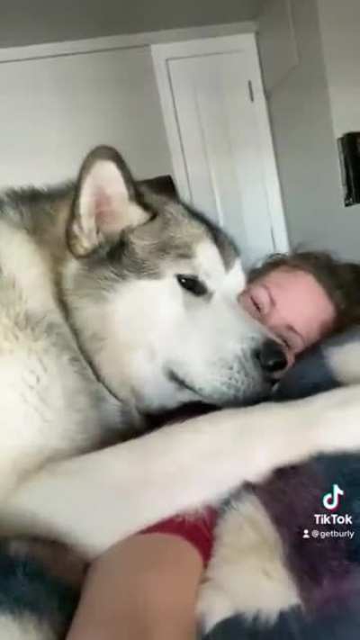 Floof wakeup call