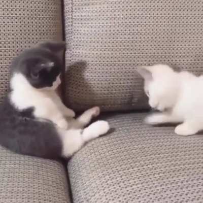 OMG ?
