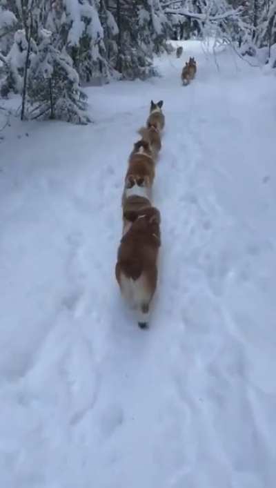 They keep looking back ?