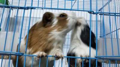 "Honey, don't snatch food out of your huband's mouth..."