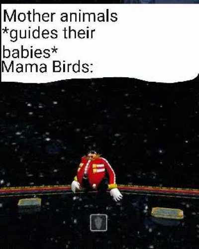 Fly Wimp