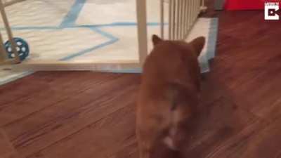 When you get back from a hard day at the park