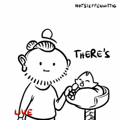 Interviewing a cat