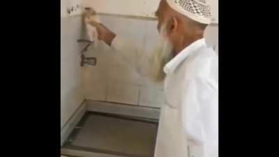 Using a bird to get rid of pests