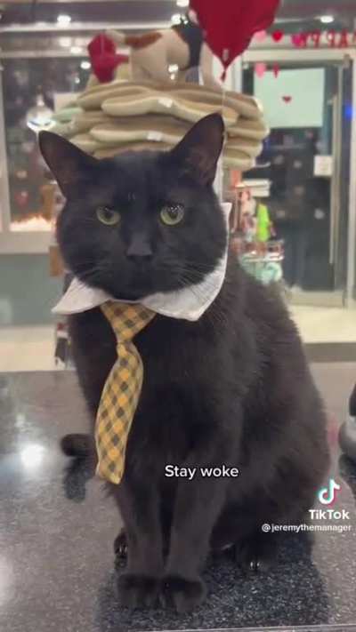 "stay woke"