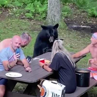 A Wild bear ? join the Kaitlyn Nesbit and his family on picnic.
