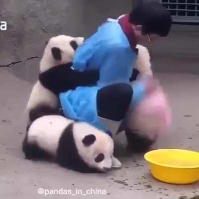 I want this job