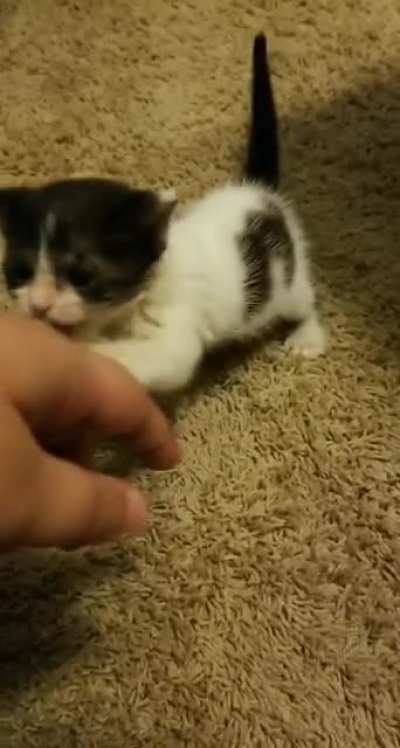 He scream ?