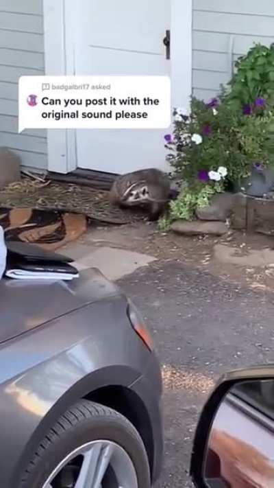 Arriving home after a long night with the bois.