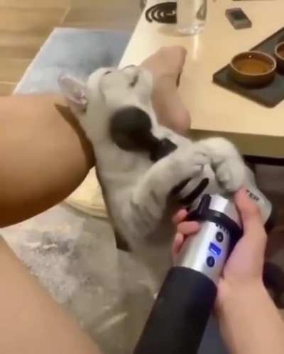 Gimme a turn!
