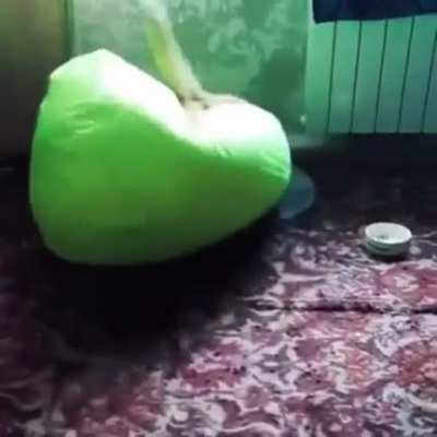 Nailed it…