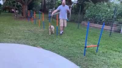 "I do skills, I do derp"