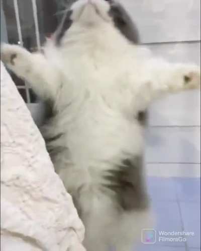 Open the door!