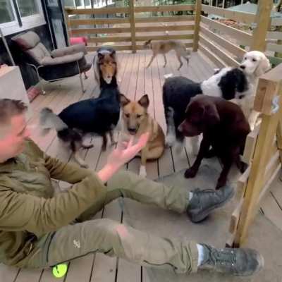 LMAO! Why’s the *Retriever* the only one unfazed by all that?! ?