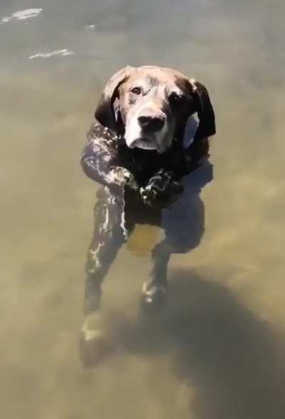 The water was good