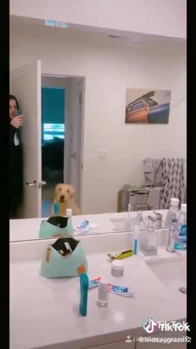 they way the dog stares at him for a few seconds ?