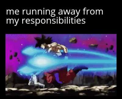 Run forest run