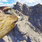A bird’s eye view of the Alps