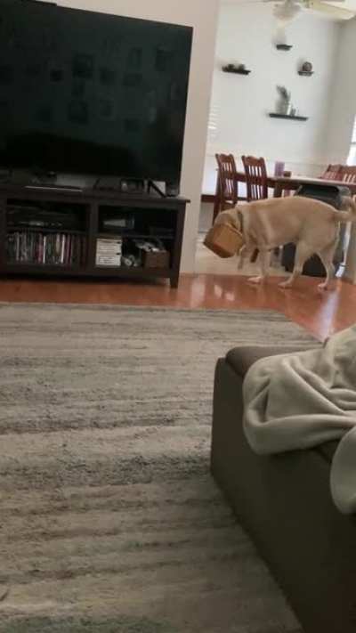 My dog’s bone is stuck in a basket