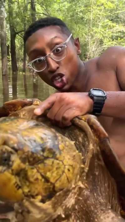 ?Huge Suwannee Alligator Snapping Turtle