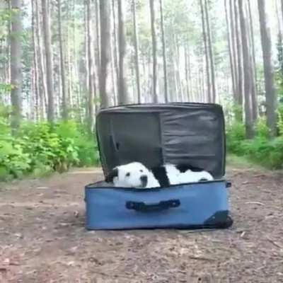 he needs a vacation