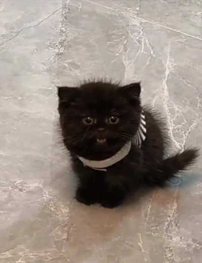 Baby wants to tell me something