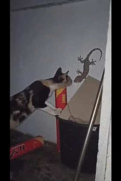 Checking out the ?