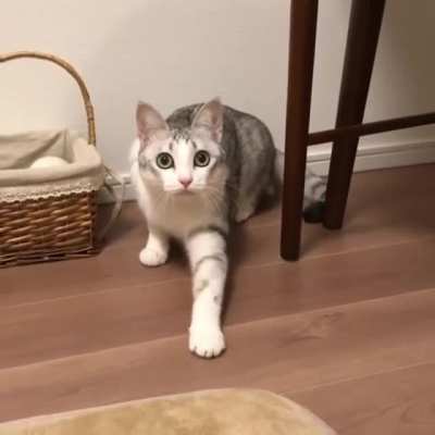 "Come over here."