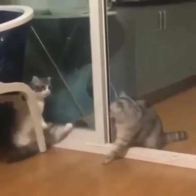 Two for flinching