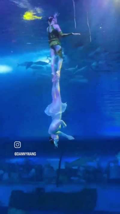 Guangzhou Zhengjia Polar Ocean World Performance: "The Legend of Green & White Snake"