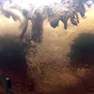 ? a underwater view of a osprey catching a fish ?