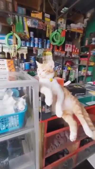 the owner of the bench supervises the customers