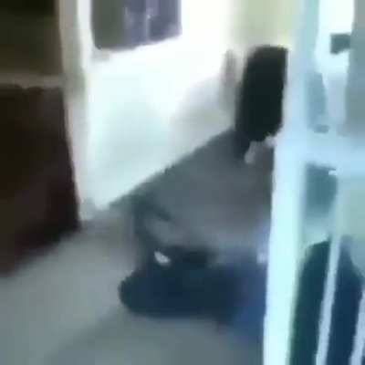 WTF