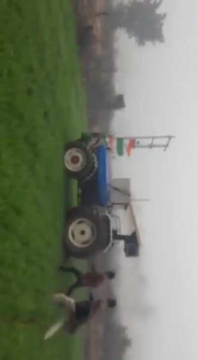 Farm chaos!