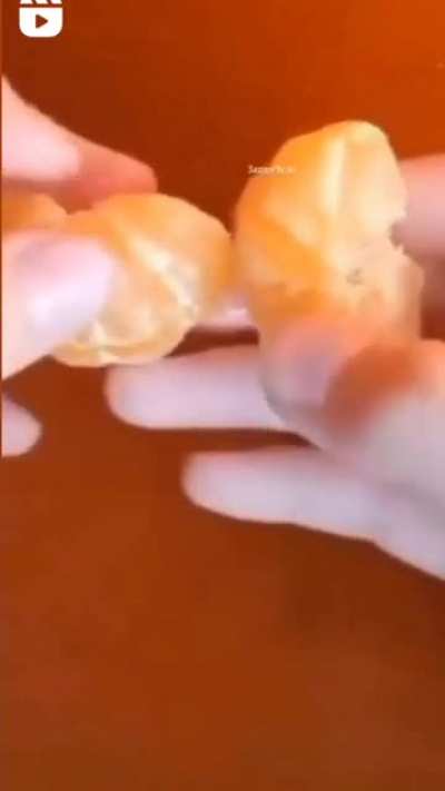 what in the goddamn fuck