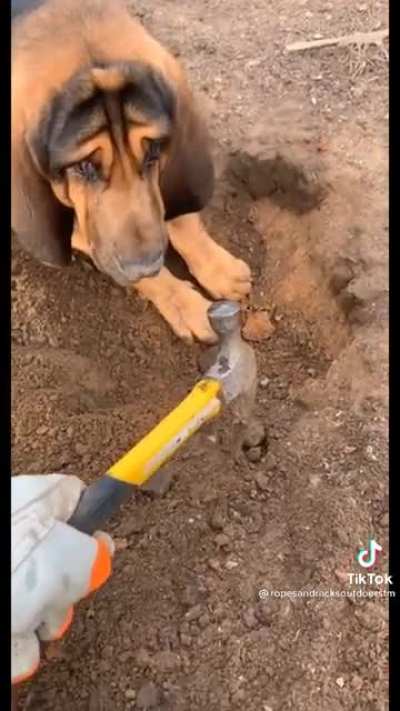 Nobody digs in his hole!