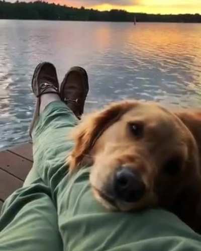 Happy International Dog Day ?