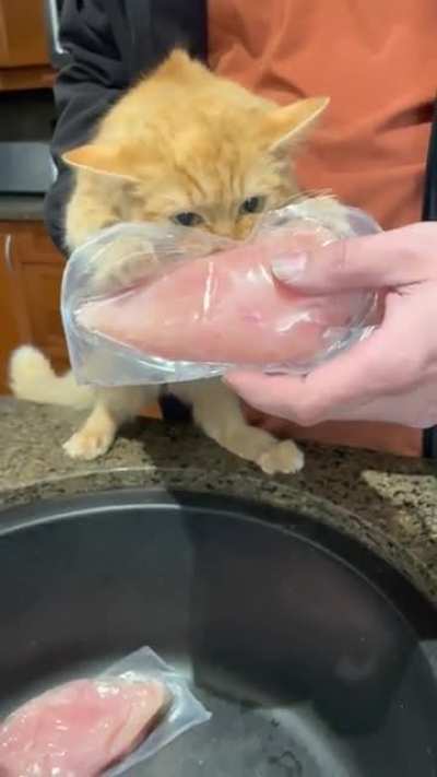 Gimme da chicken!