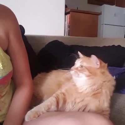 "Excuse me mom, why you stop pettin? You started this..."