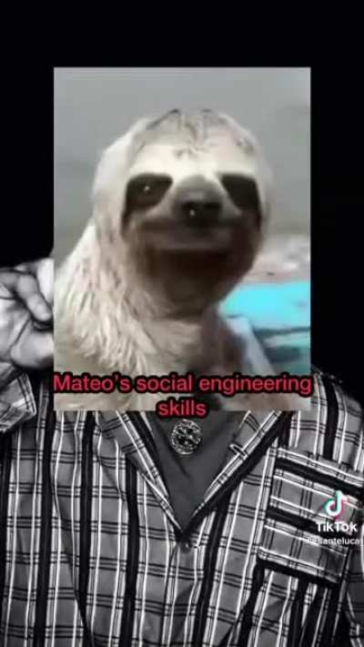 Gorilla Gorilla Gorilla