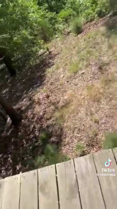To zipline with the group