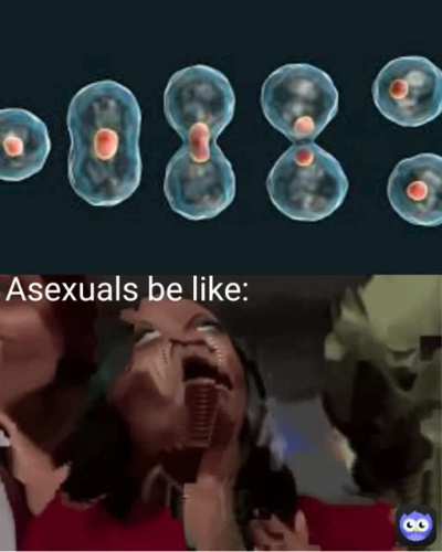 First GIF meme