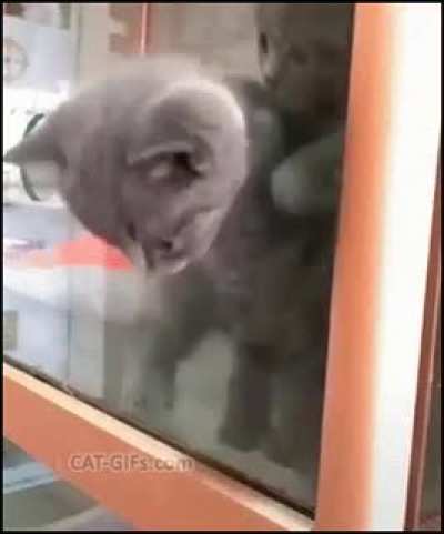 "That was easy"