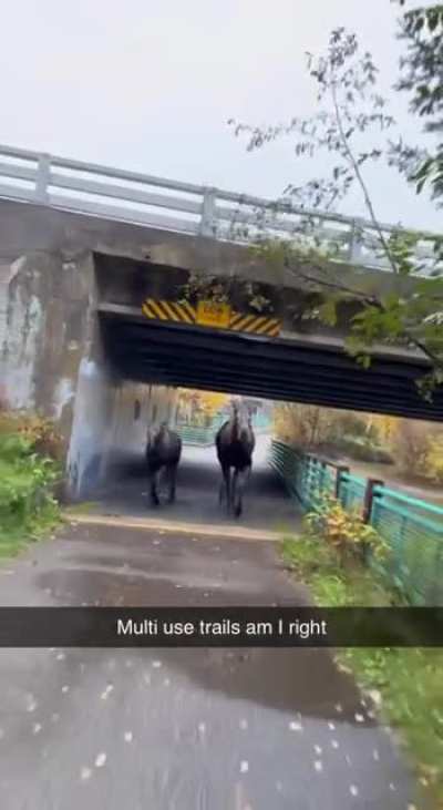Average Alaskan bike ride [OC]